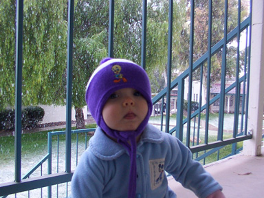First Snowfall 01.30.2002