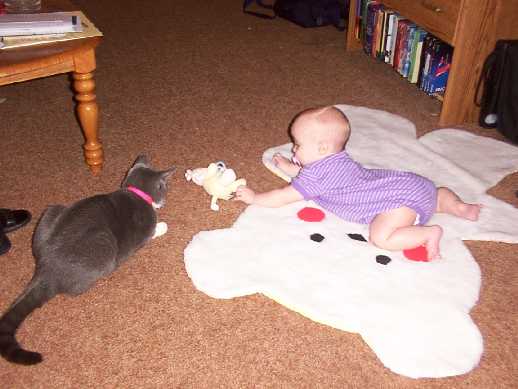 Trinity, Waldo, and the Lion